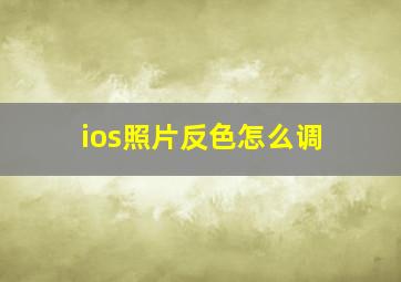 ios照片反色怎么调