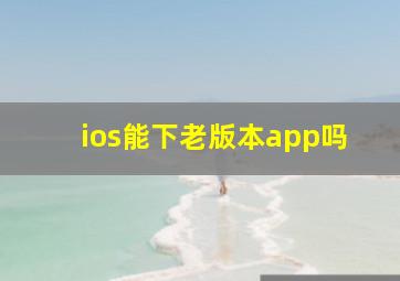 ios能下老版本app吗