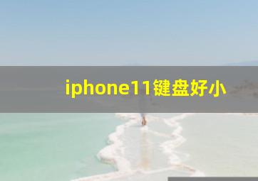 iphone11键盘好小