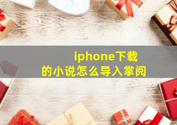 iphone下载的小说怎么导入掌阅