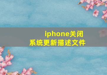 iphone关闭系统更新描述文件