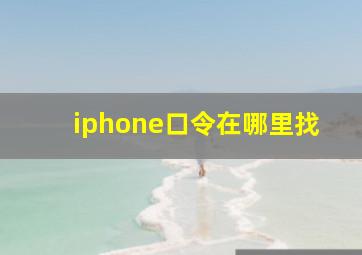 iphone口令在哪里找