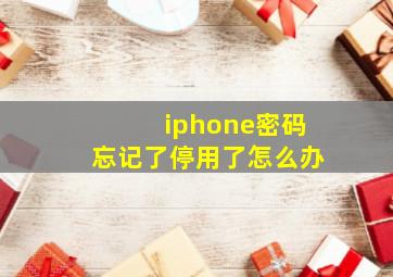 iphone密码忘记了停用了怎么办