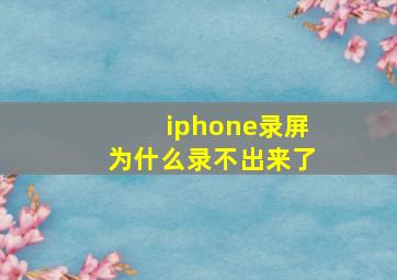 iphone录屏为什么录不出来了