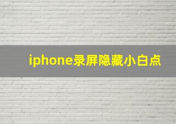 iphone录屏隐藏小白点