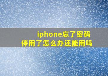 iphone忘了密码停用了怎么办还能用吗