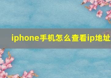 iphone手机怎么查看ip地址