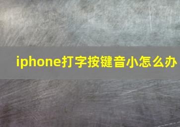 iphone打字按键音小怎么办