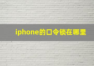 iphone的口令锁在哪里