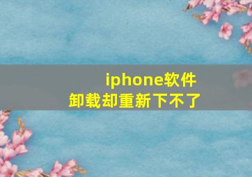 iphone软件卸载却重新下不了