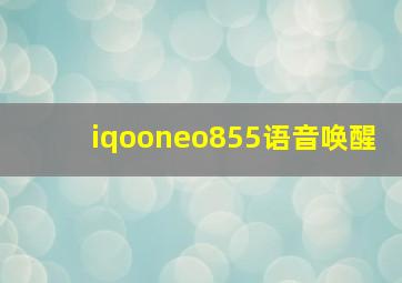 iqooneo855语音唤醒