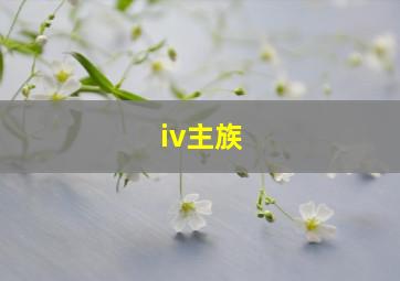 iv主族