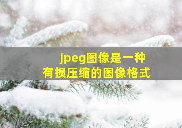 jpeg图像是一种有损压缩的图像格式