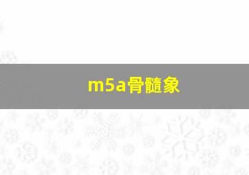 m5a骨髓象