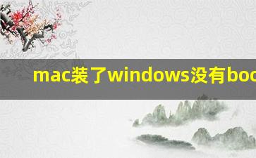 mac装了windows没有bootcamp