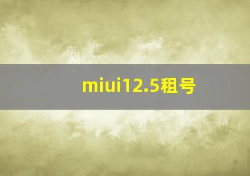 miui12.5租号