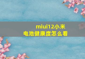 miui12小米电池健康度怎么看