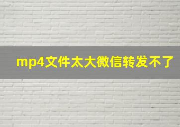 mp4文件太大微信转发不了