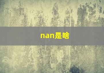 nan是啥