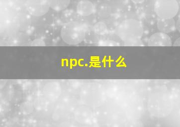 npc.是什么