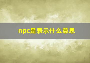 npc是表示什么意思