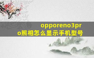 opporeno3pro照相怎么显示手机型号