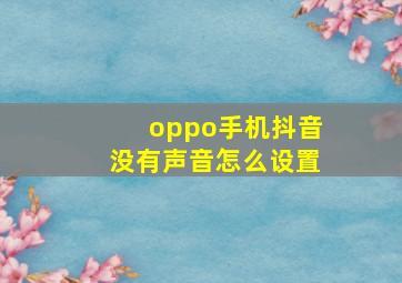 oppo手机抖音没有声音怎么设置