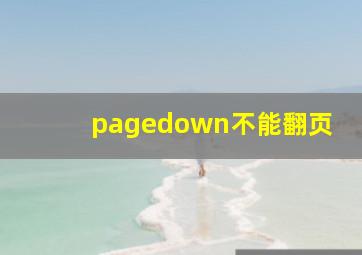 pagedown不能翻页