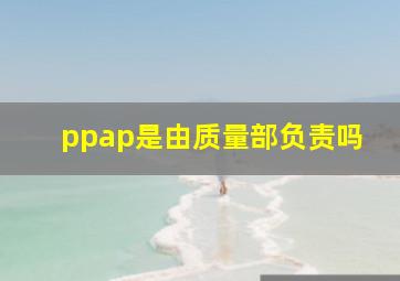 ppap是由质量部负责吗