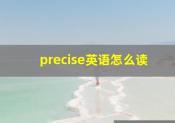 precise英语怎么读