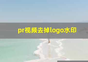 pr视频去掉logo水印