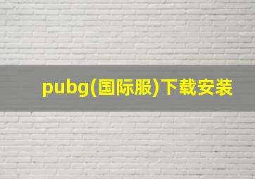 pubg(国际服)下载安装