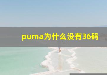 puma为什么没有36码