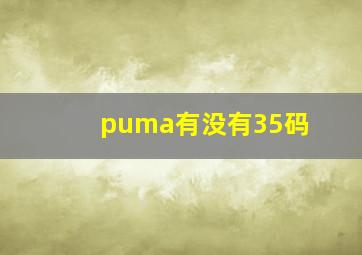 puma有没有35码