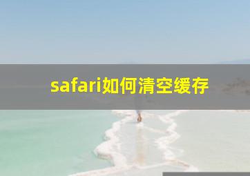 safari如何清空缓存