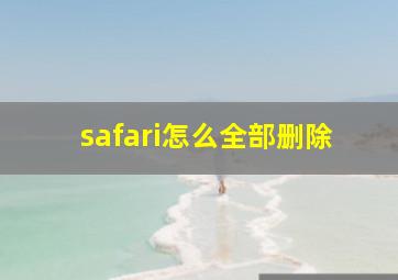 safari怎么全部删除