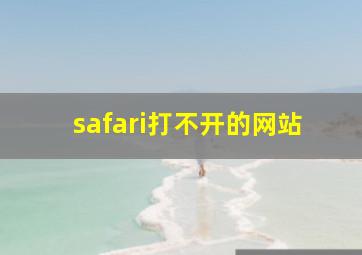 safari打不开的网站