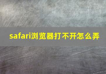 safari浏览器打不开怎么弄