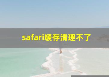 safari缓存清理不了