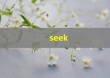 seek