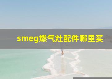 smeg燃气灶配件哪里买