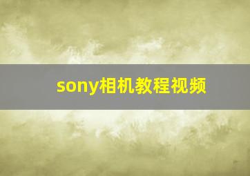 sony相机教程视频