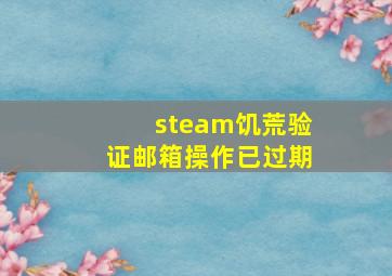 steam饥荒验证邮箱操作已过期