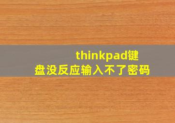 thinkpad键盘没反应输入不了密码