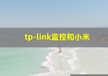 tp-link监控和小米