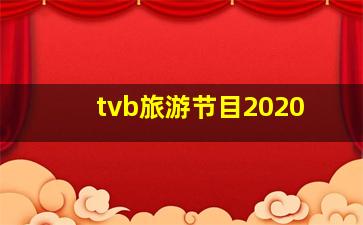 tvb旅游节目2020