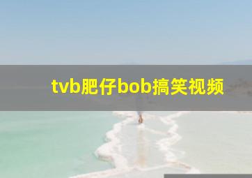 tvb肥仔bob搞笑视频