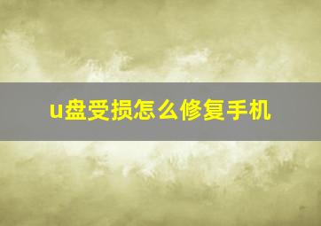 u盘受损怎么修复手机