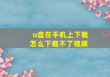 u盘在手机上下载怎么下载不了视频