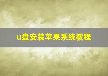 u盘安装苹果系统教程